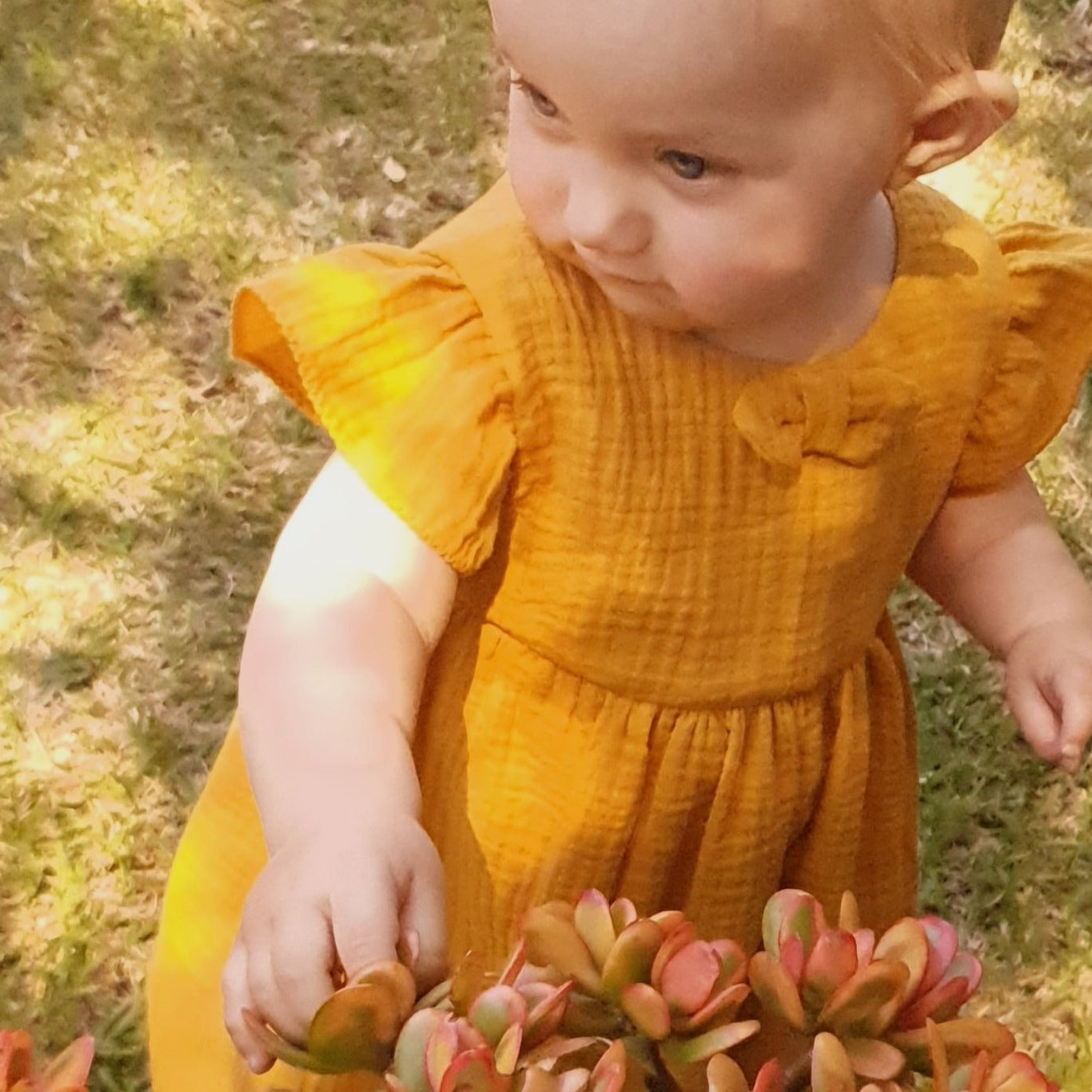 Alaina Muslin dresses